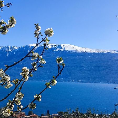 Agriturismo L'Uliveto Gargnano Eksteriør bilde