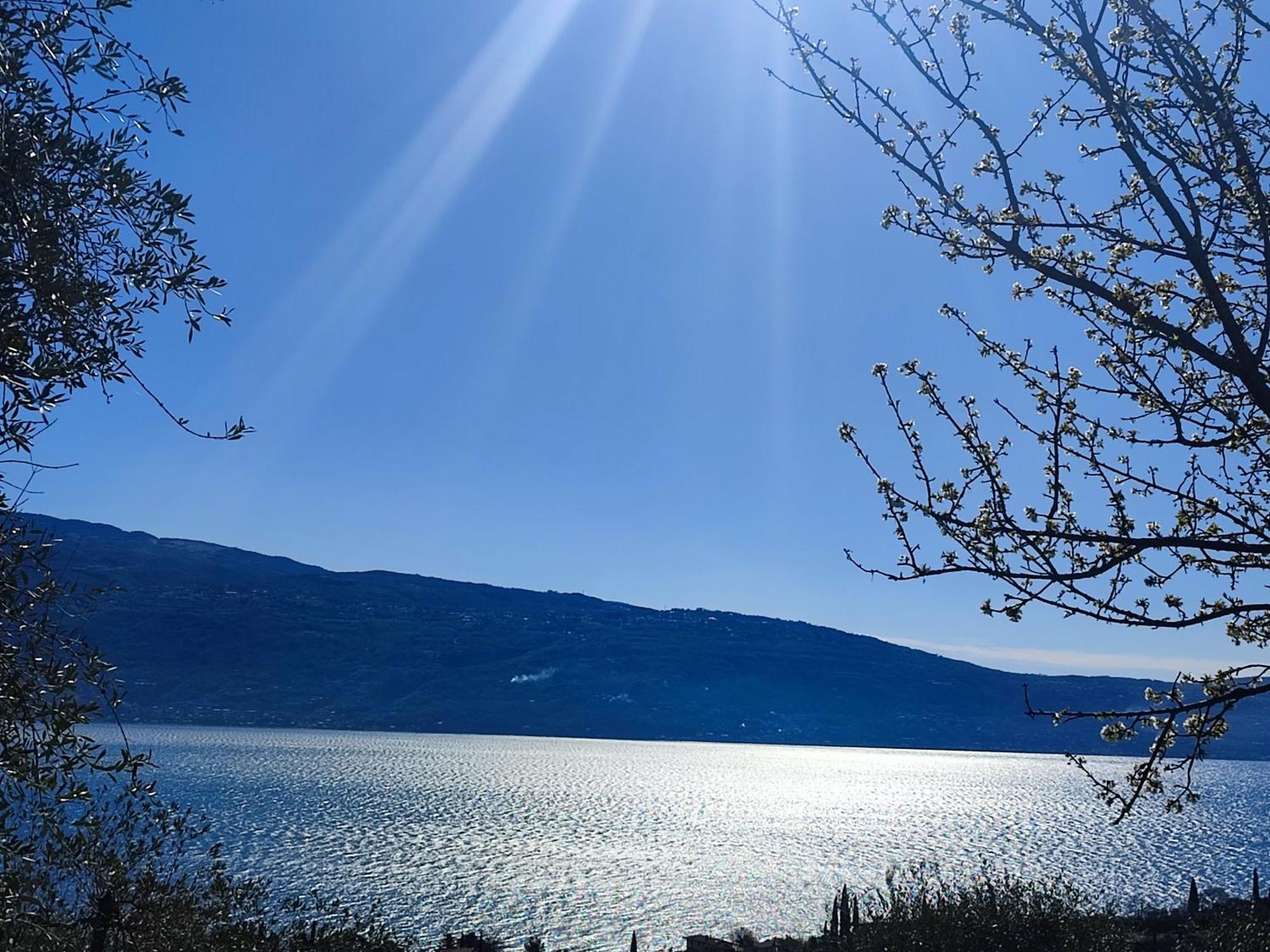 Agriturismo L'Uliveto Gargnano Eksteriør bilde